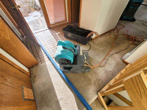 Water damage restoration process in Lake Panasoffkee, FL