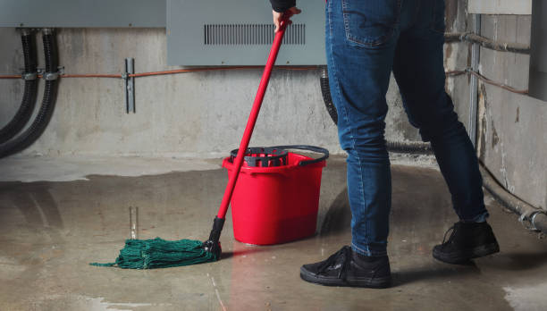 Lake Panasoffkee, FL Water damage restoration Company