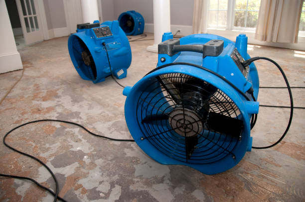 Best Ceiling water damage repair  in Lake Panasoffkee, FL