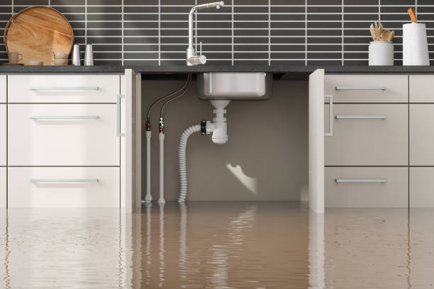 Best Water damage restoration process  in Lake Panasoffkee, FL