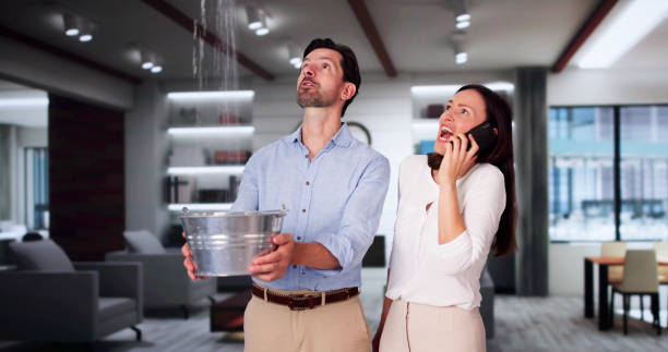 Water damage restoration experts in Lake Panasoffkee, FL