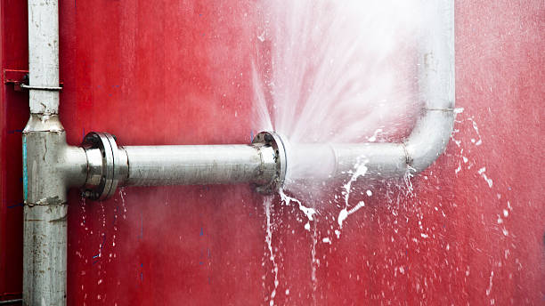 Best Water damage restoration specialists  in Lake Panasoffkee, FL