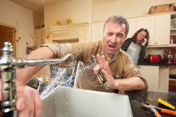Best Carpet water damage restoration  in Lake Panasoffkee, FL
